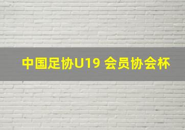 中国足协U19 会员协会杯